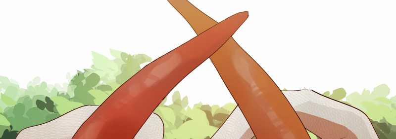 [18+] Home 8.2 trang 30