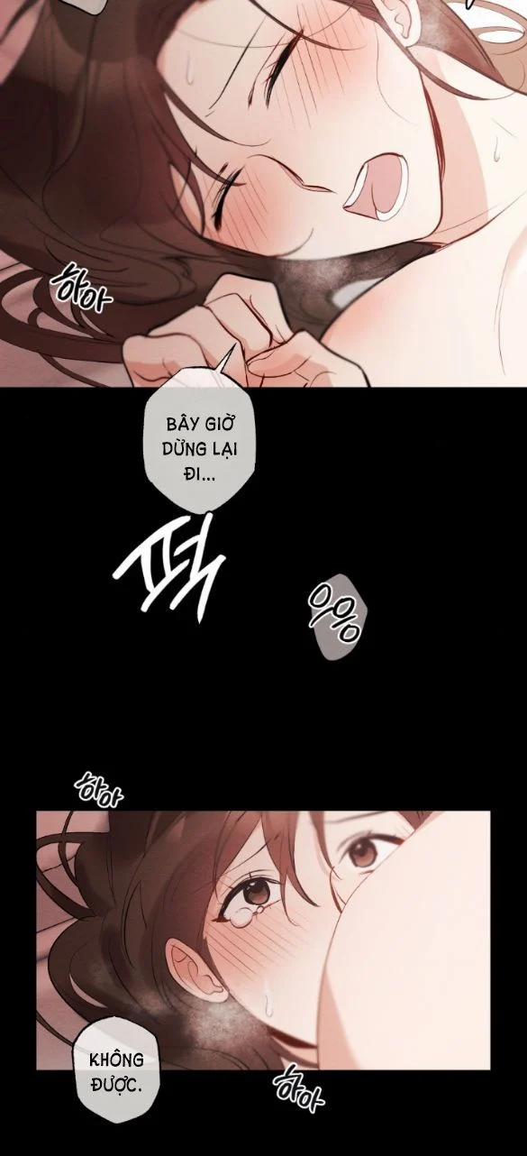 [18+] Hôn Nhân Bị Đánh Cắp 1.1 trang 9