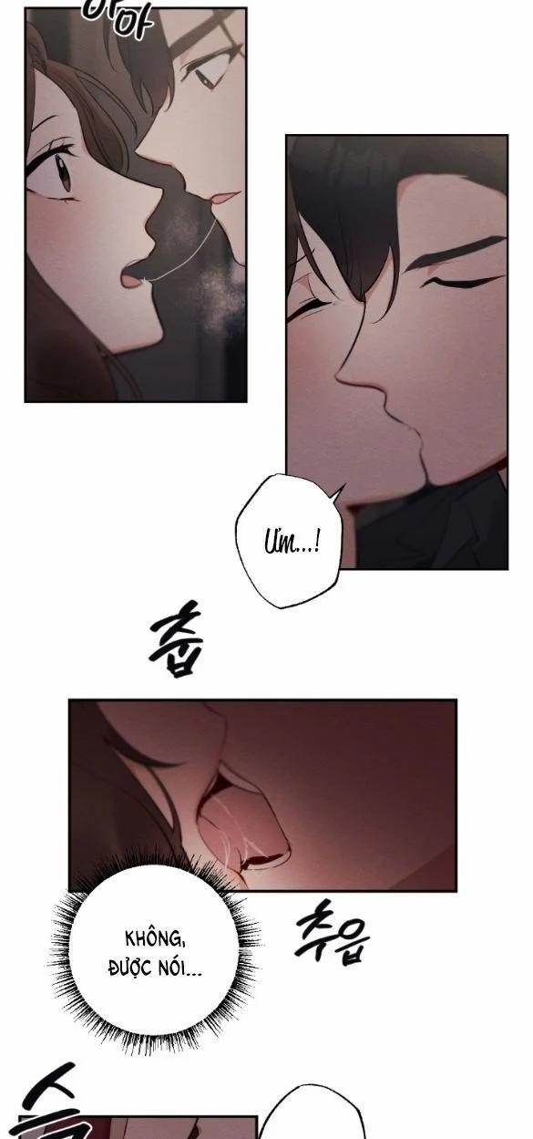 [18+] Hôn Nhân Bị Đánh Cắp 1.2 trang 21