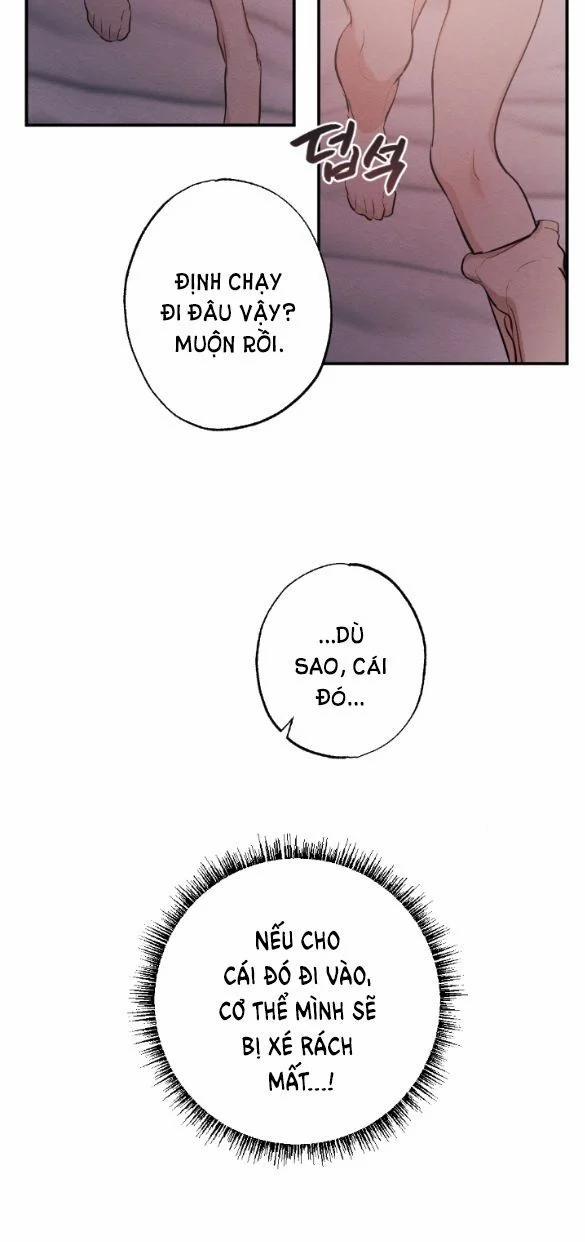 [18+] Hôn Nhân Bị Đánh Cắp 2.1 trang 17