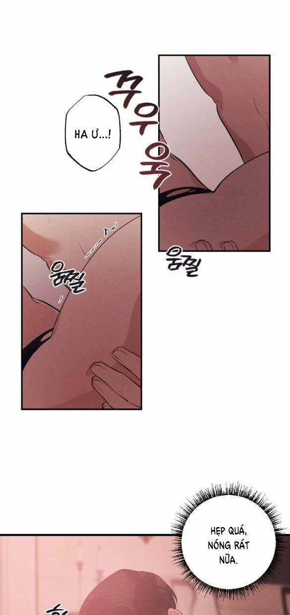 [18+] Hôn Nhân Bị Đánh Cắp 2.1 trang 19