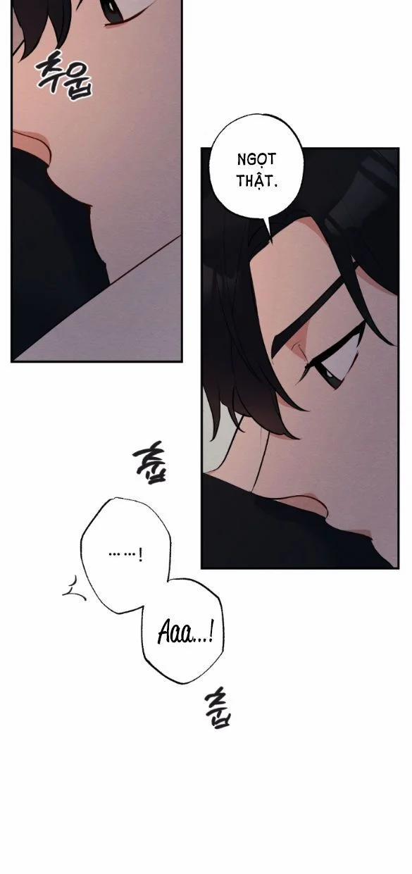 [18+] Hôn Nhân Bị Đánh Cắp 2.1 trang 3