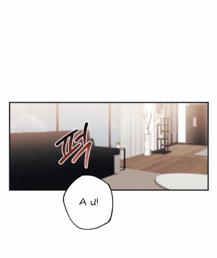 [18+] Hôn Nhân Bị Đánh Cắp 27.2 trang 4