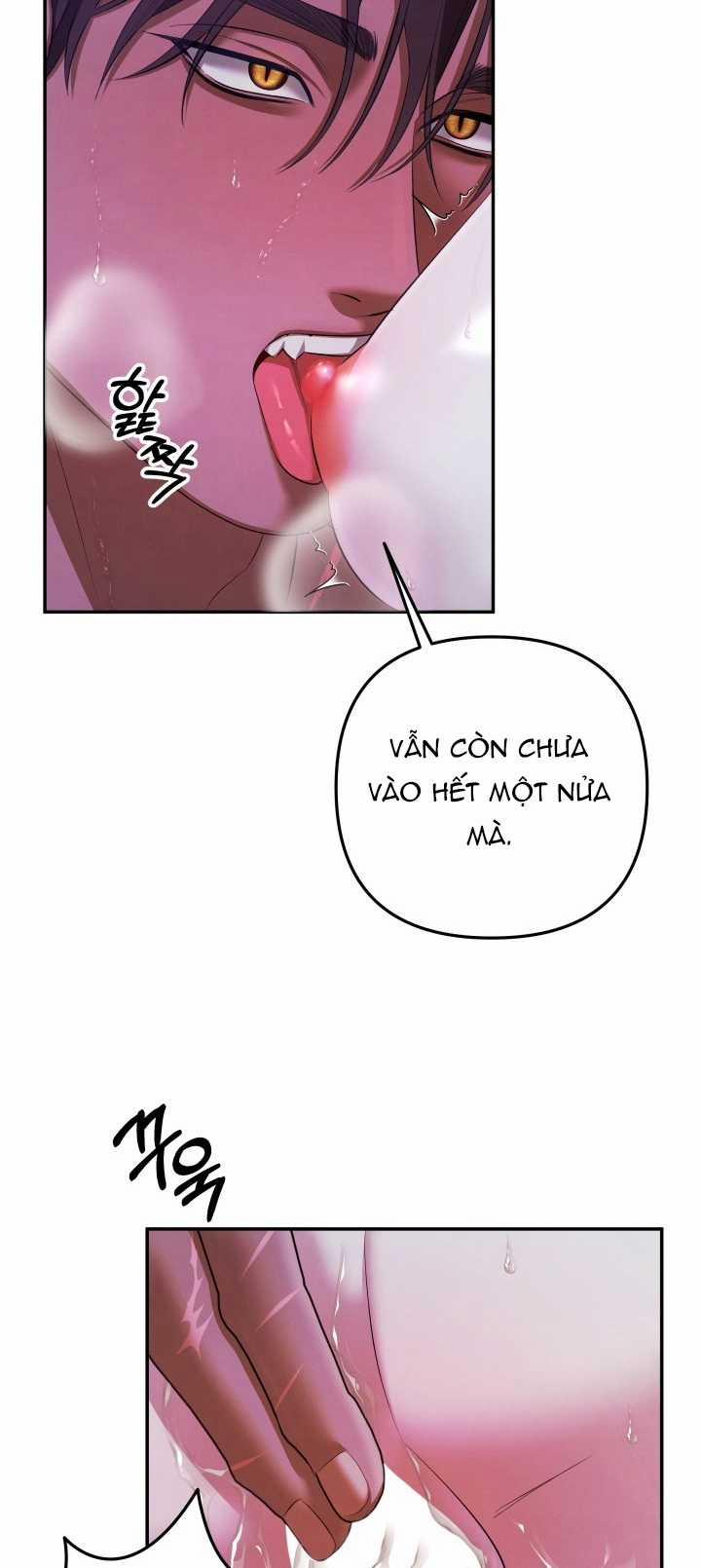 [18+] Hôn Nhân Cưỡng Đoạt 36.1 trang 16