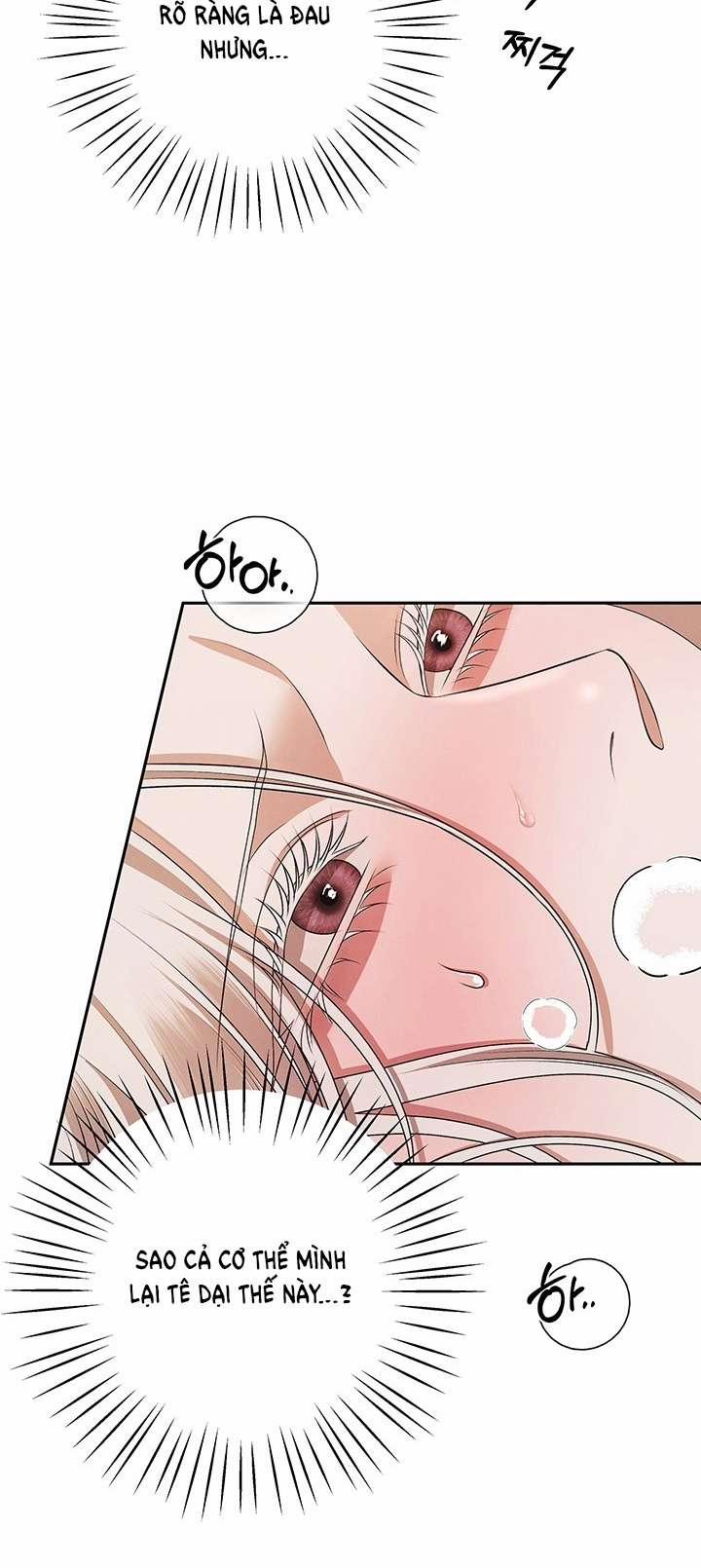 [18+] Hôn Nhân Cưỡng Đoạt 4.2 trang 12