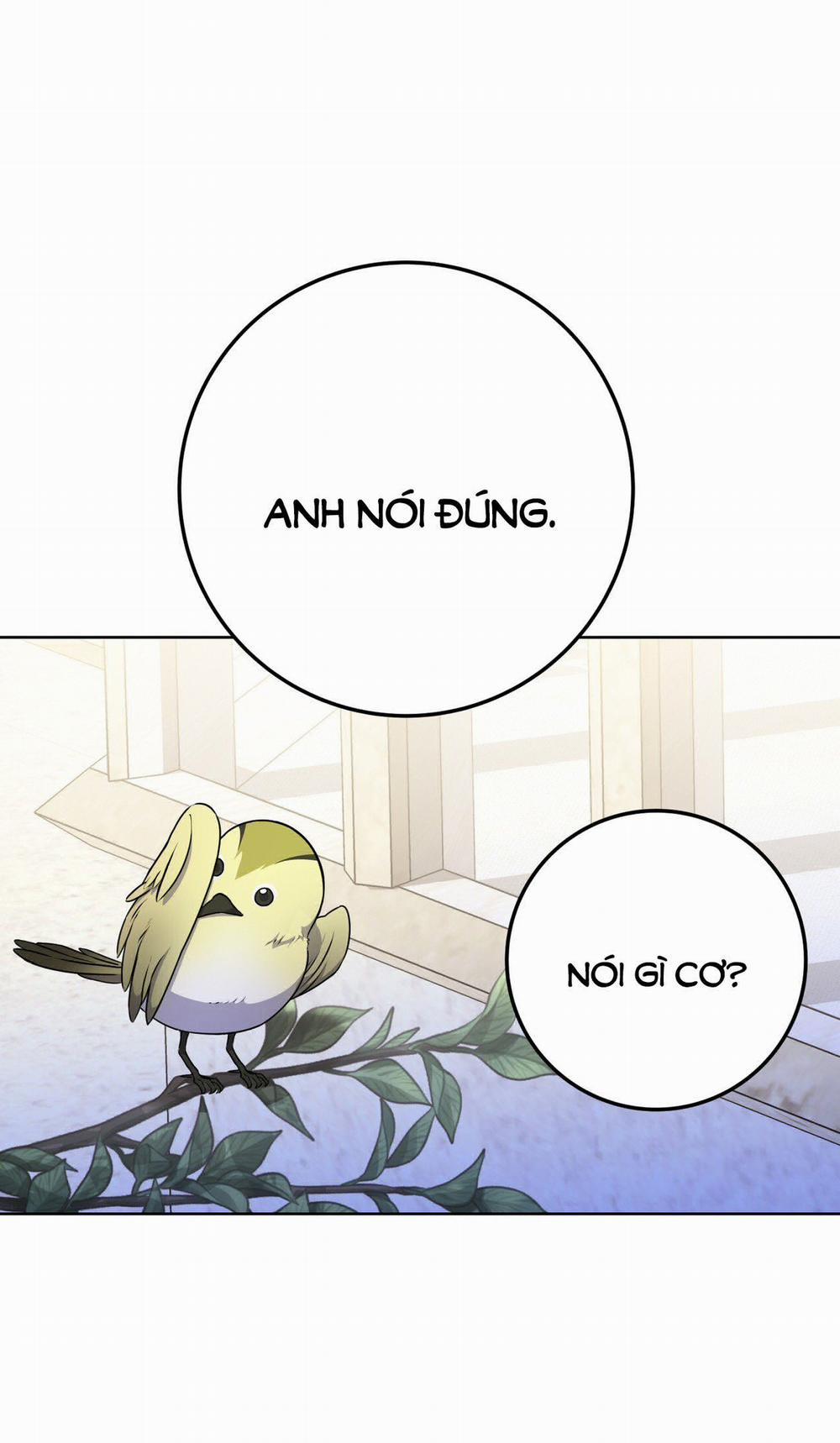 [18+] Jasmin Xin Hãy Để Ý Đến Tôi 4.2 trang 11