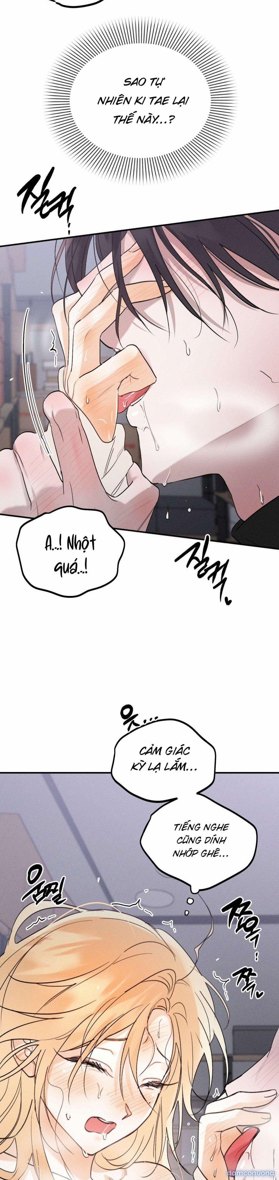 [ 18+ Không Che ] Người Đàn Ông Được Quỷ Theo Đuổi 13 trang 10