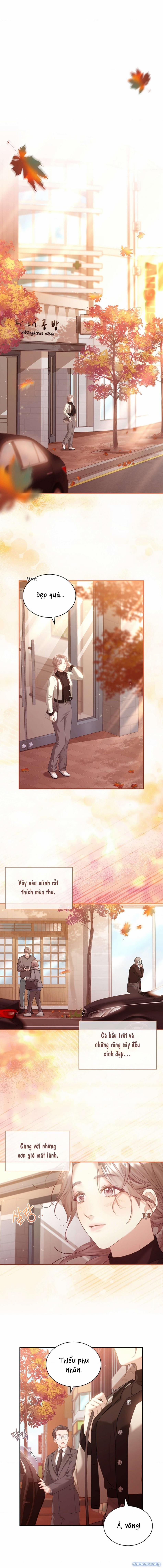 [ 18+ Không Che ] Người Vợ Trẻ 23 trang 4