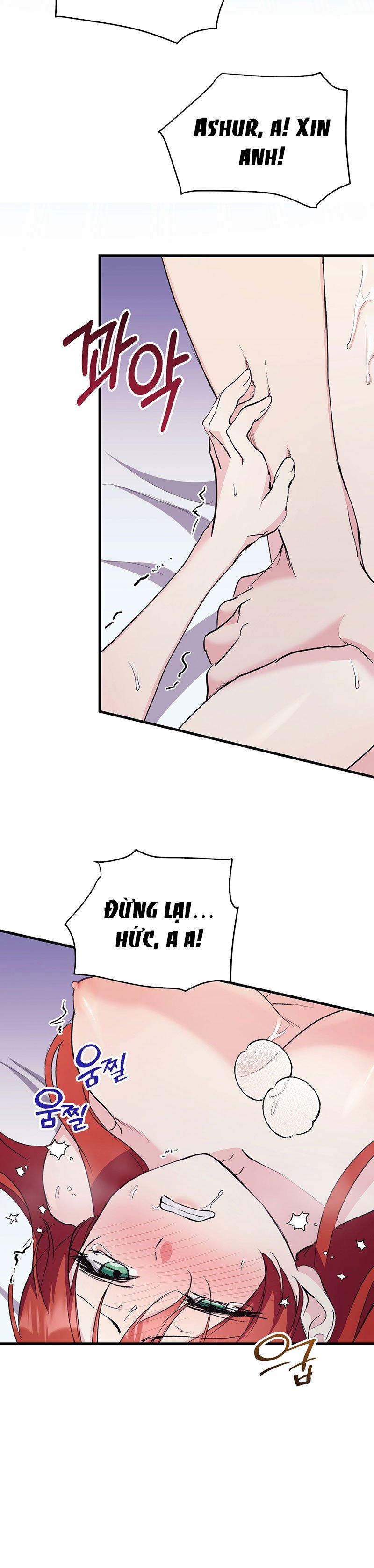 [18+] Không Muốn Tấn Công 14.2 trang 1