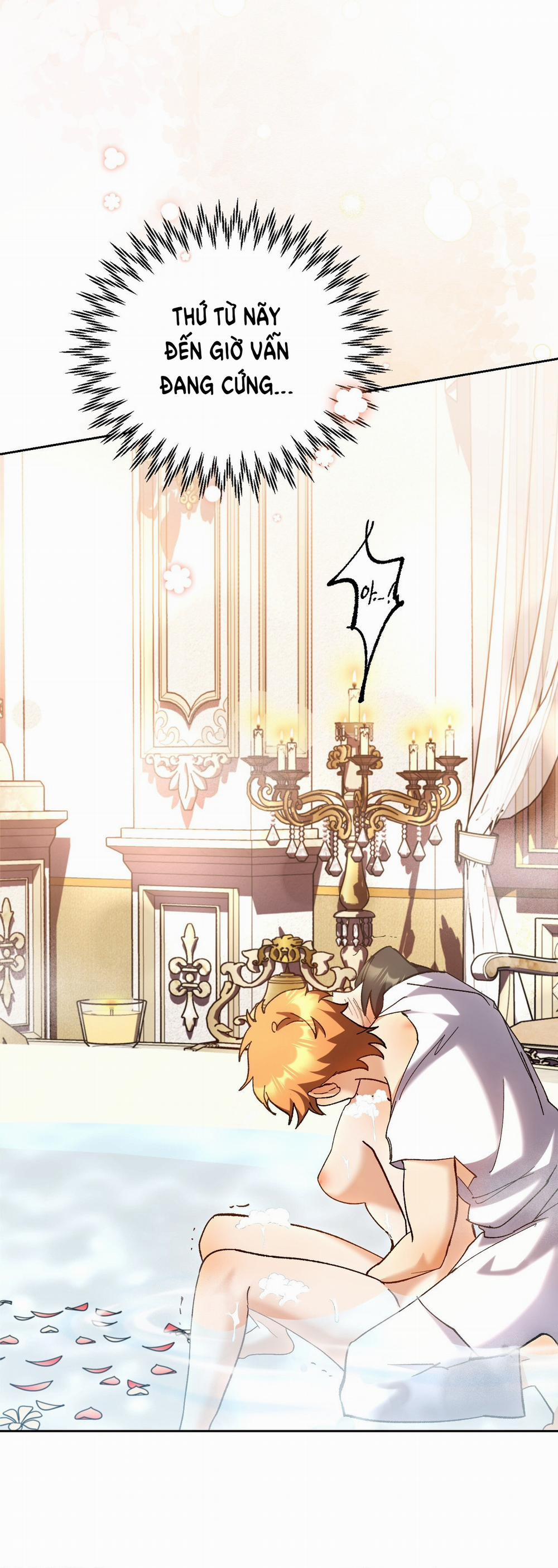 [18+] Lãnh Địa Của Công Nương Không Phải Là Một Công Ty Nhỏ 3.2 trang 12