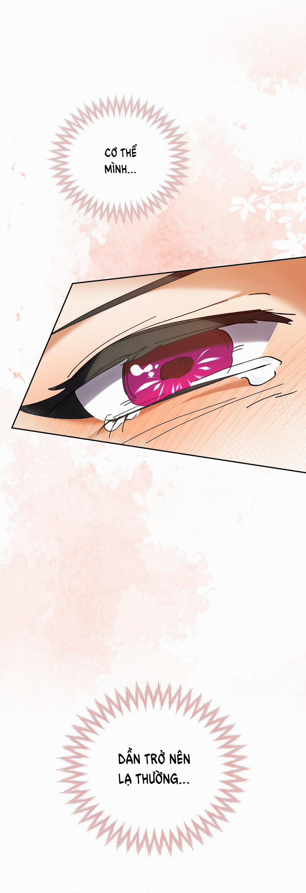 [18+] Lãnh Địa Của Công Nương Không Phải Là Một Công Ty Nhỏ 4.2 trang 20