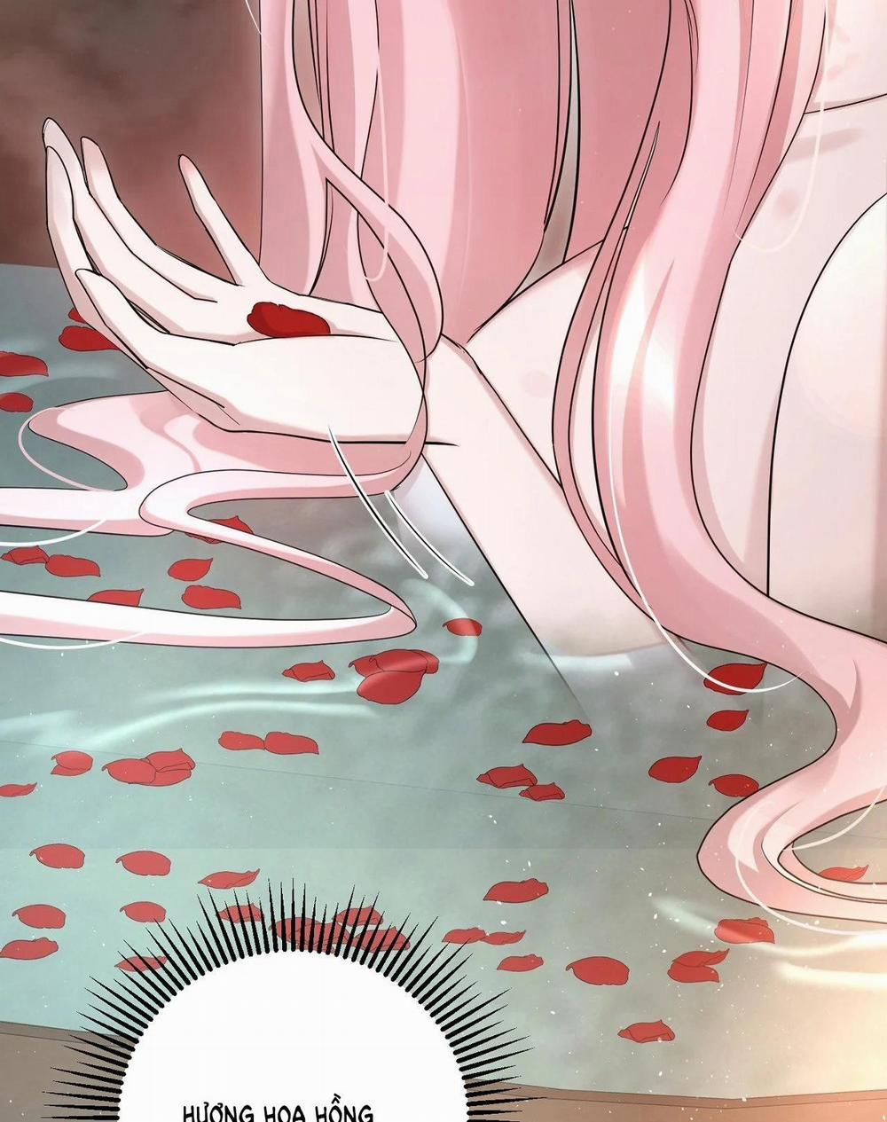 [18+] Lâu Đài Hoang Dại 14.2 trang 1