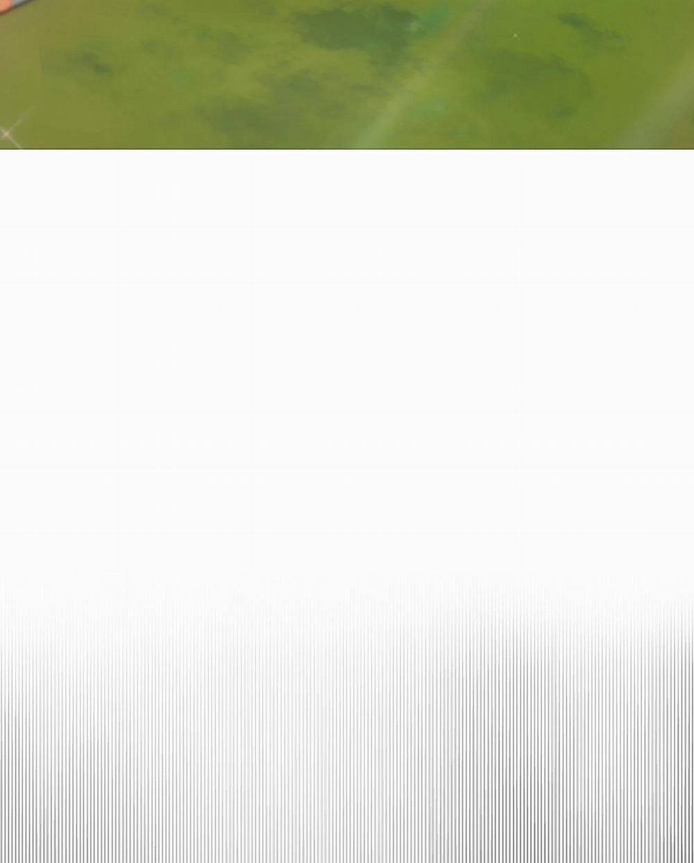 [18+] Lâu Đài Hoang Dại 6.2 trang 16