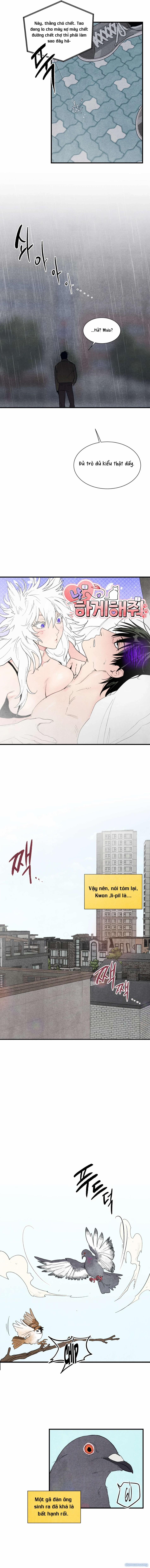 [ 18+ ] Meo~ Để Tôi Làm Cho 1 trang 2