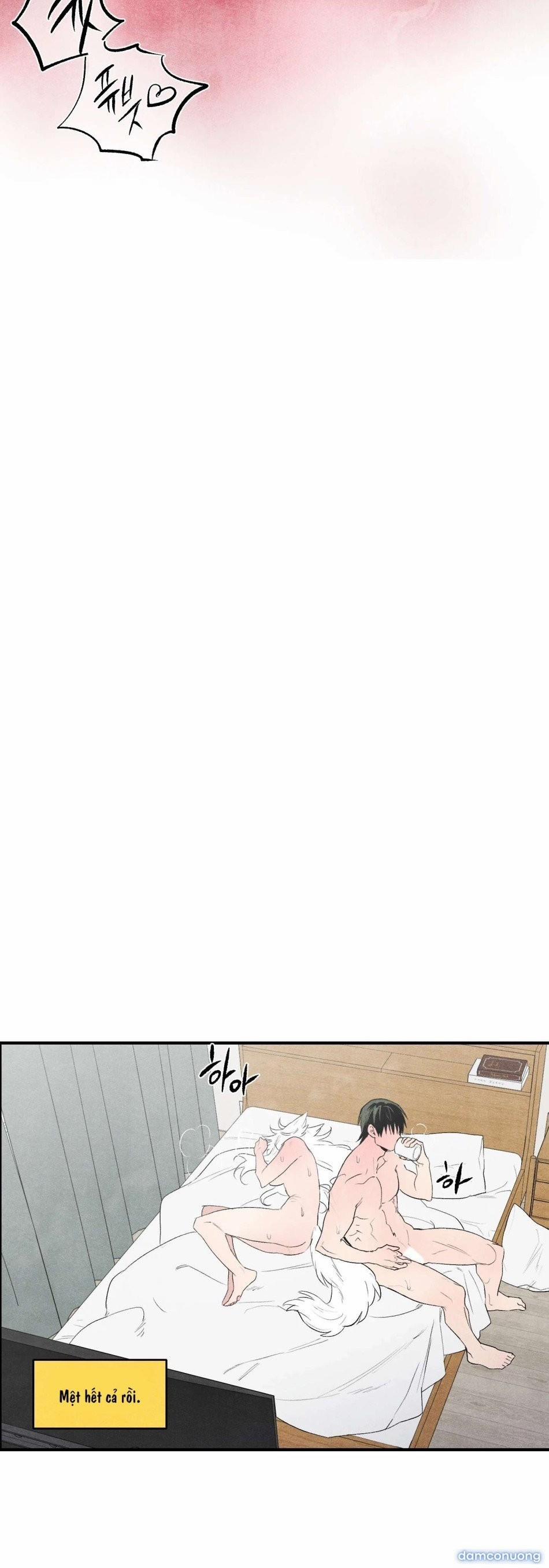 [ 18+ ] Meo~ Để Tôi Làm Cho 7 trang 11