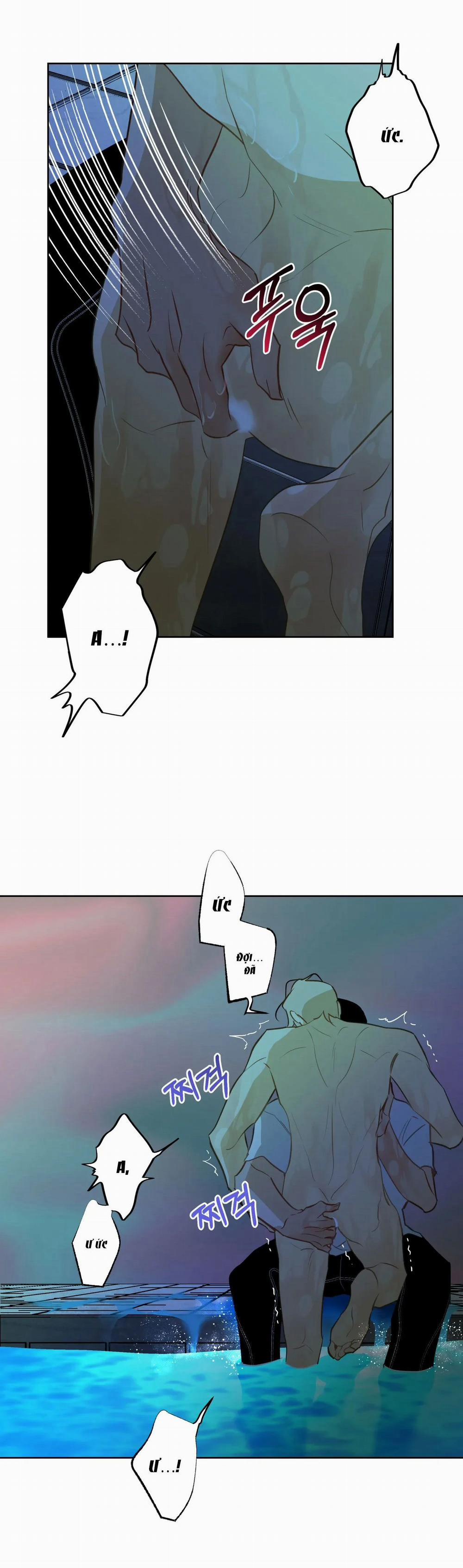 [18+] Mối Tình Đầu Của Chủ Quán Hải Sản Là Người Cá 1.1 trang 4