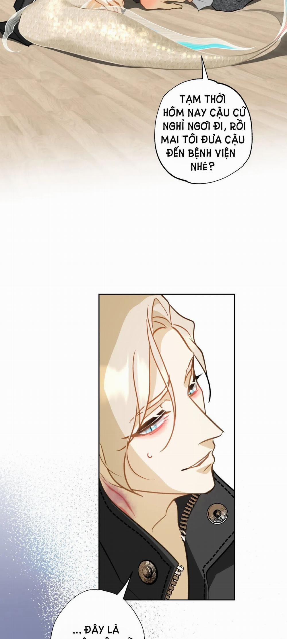 [18+] Mối Tình Đầu Của Chủ Quán Hải Sản Là Người Cá 10.1 trang 7