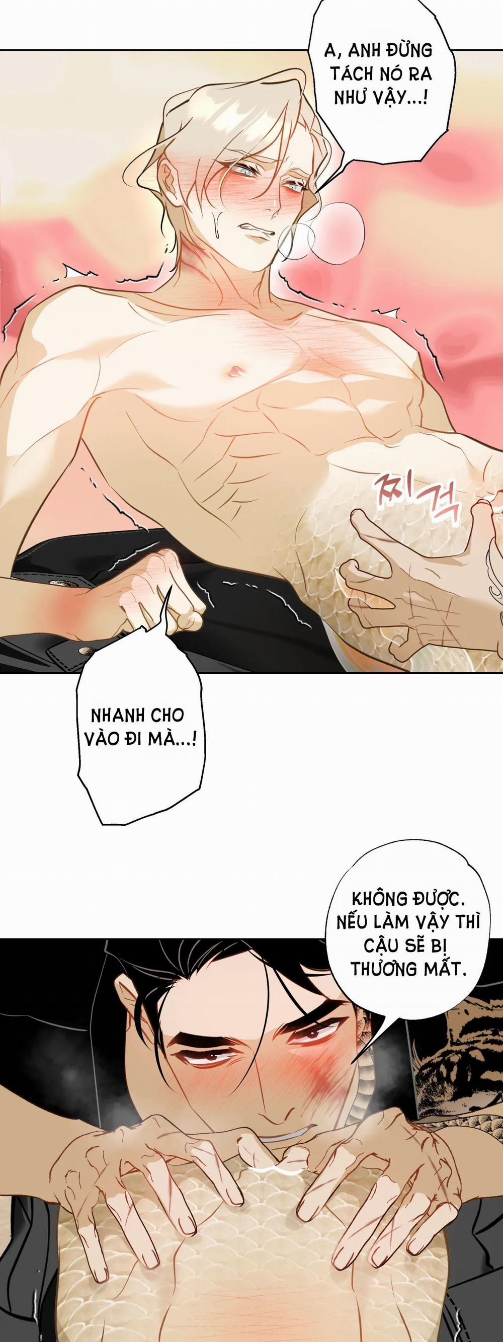 [18+] Mối Tình Đầu Của Chủ Quán Hải Sản Là Người Cá 10.2 trang 1