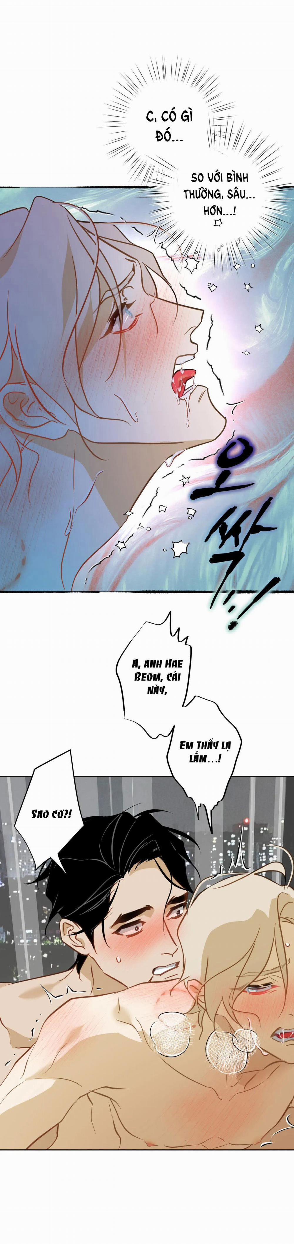 [18+] Mối Tình Đầu Của Chủ Quán Hải Sản Là Người Cá 13.1 trang 11