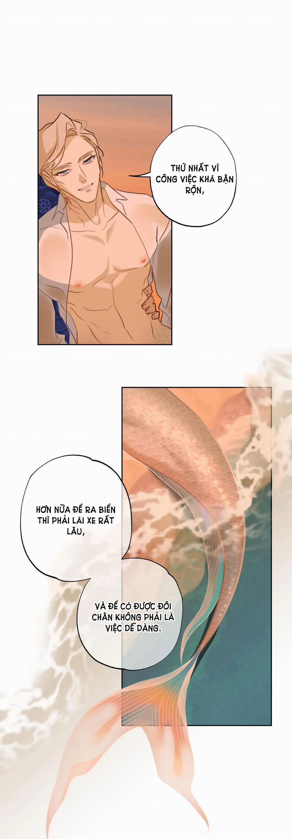 [18+] Mối Tình Đầu Của Chủ Quán Hải Sản Là Người Cá 14.2 trang 4