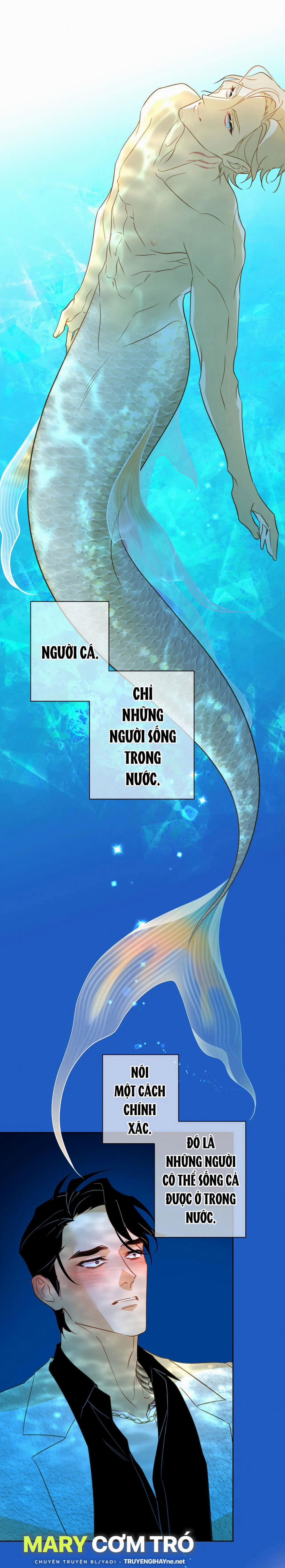 [18+] Mối Tình Đầu Của Chủ Quán Hải Sản Là Người Cá 2.1 trang 0