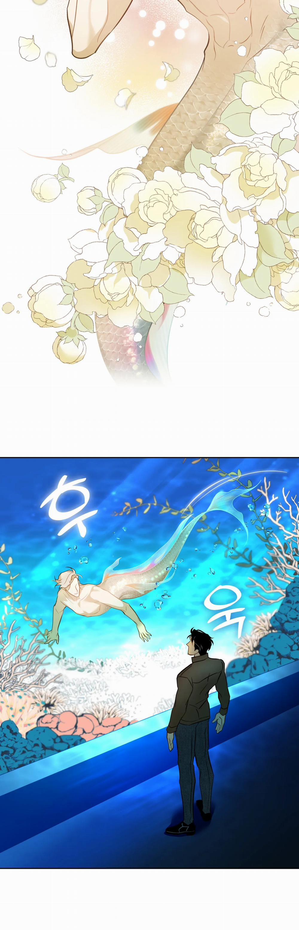 [18+] Mối Tình Đầu Của Chủ Quán Hải Sản Là Người Cá 5.1 trang 2