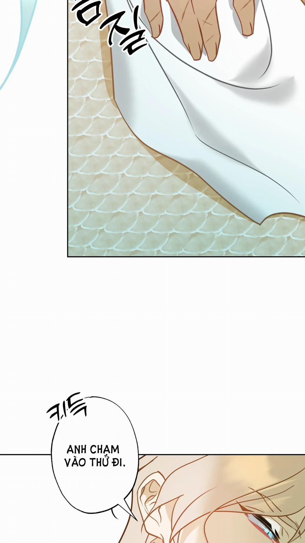 [18+] Mối Tình Đầu Của Chủ Quán Hải Sản Là Người Cá 5.2 trang 12