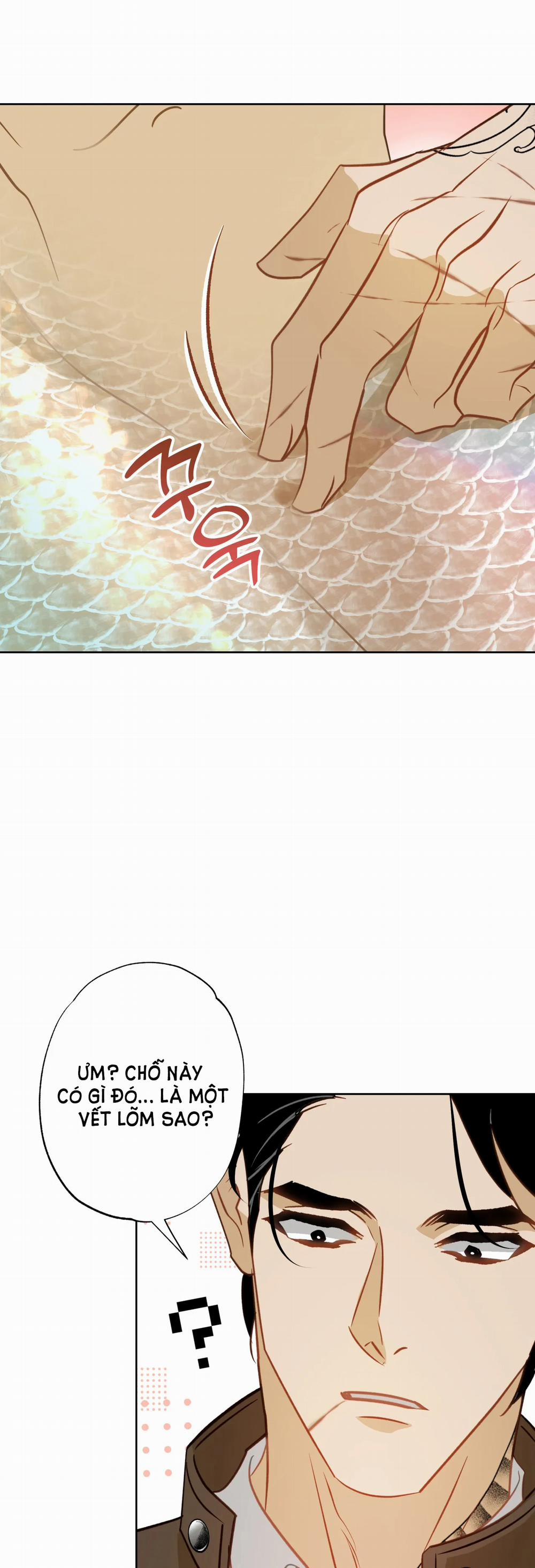 [18+] Mối Tình Đầu Của Chủ Quán Hải Sản Là Người Cá 5.2 trang 17