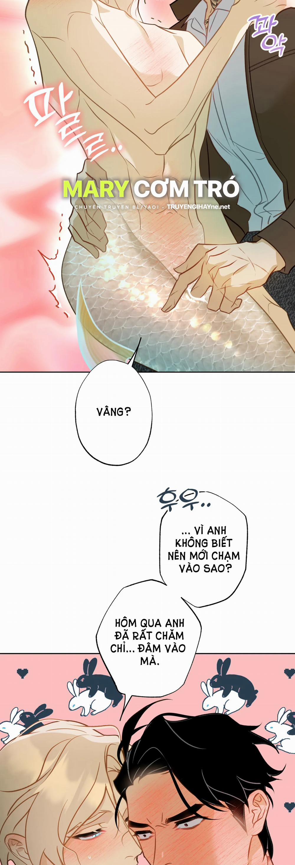 [18+] Mối Tình Đầu Của Chủ Quán Hải Sản Là Người Cá 5.2 trang 19