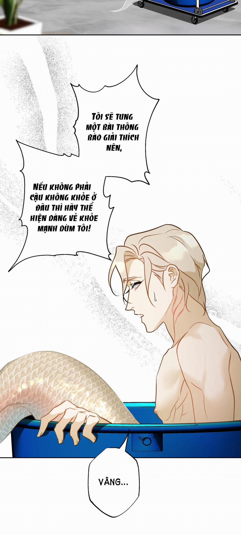 [18+] Mối Tình Đầu Của Chủ Quán Hải Sản Là Người Cá 7.2 trang 13