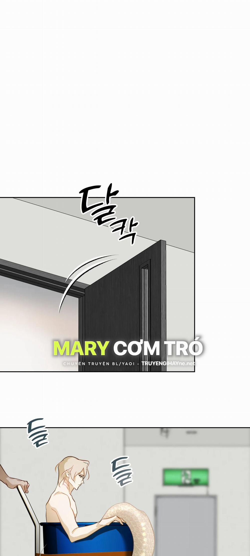 [18+] Mối Tình Đầu Của Chủ Quán Hải Sản Là Người Cá 7.2 trang 15