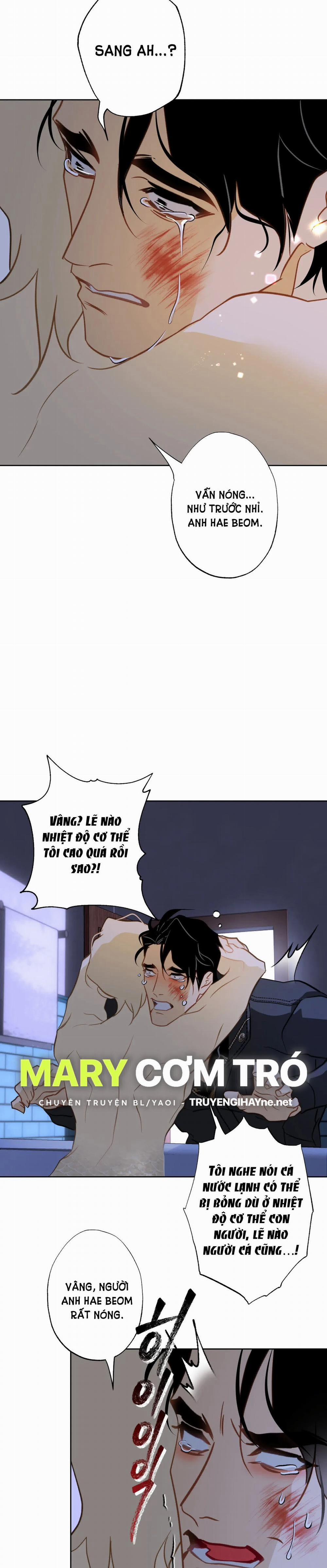 [18+] Mối Tình Đầu Của Chủ Quán Hải Sản Là Người Cá 9.2 trang 4