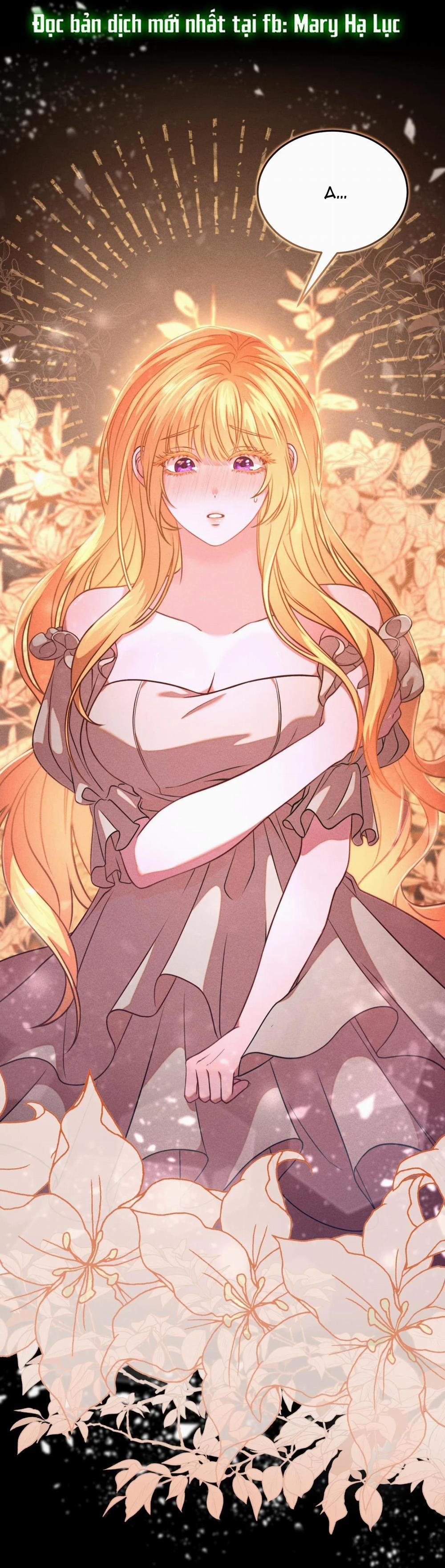 [18+] Mỹ Học Giải Trí 1.1 trang 1