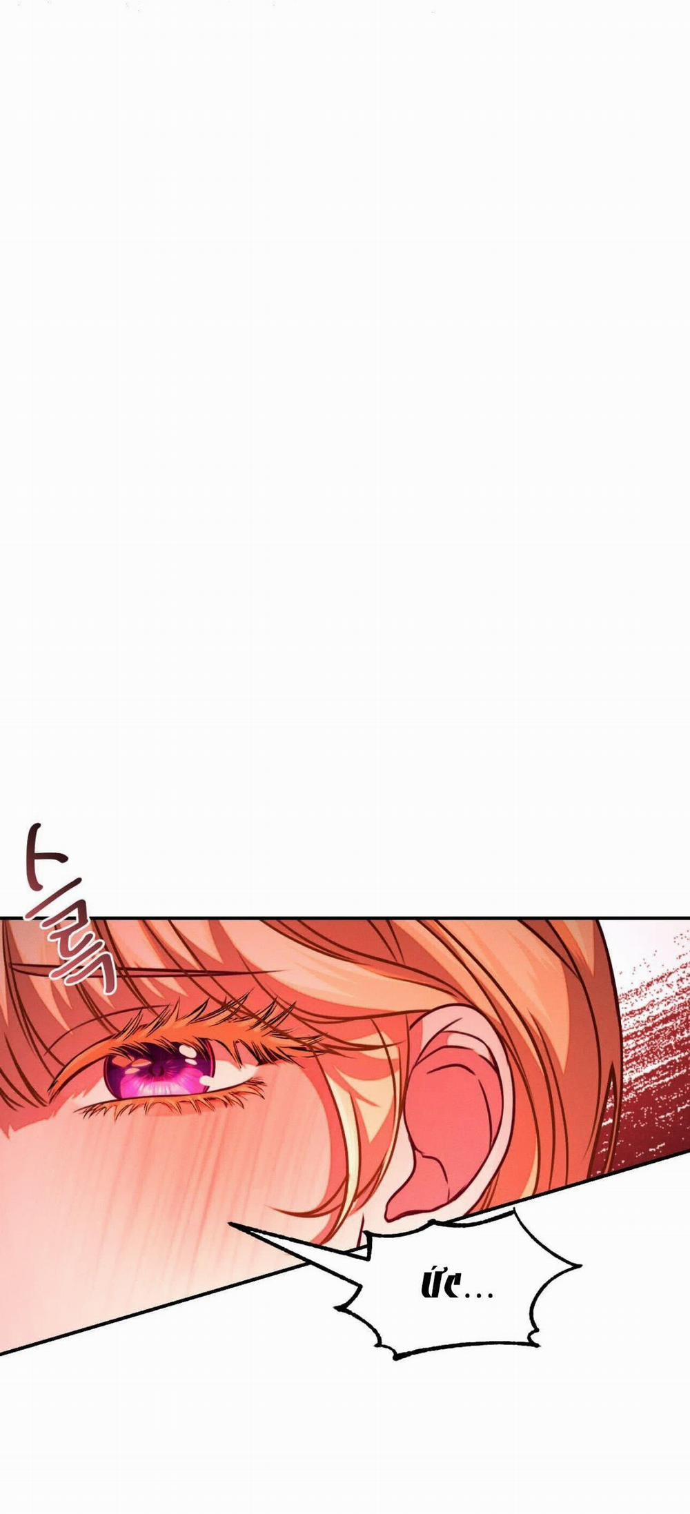 [18+] Mỹ Học Giải Trí 2.1 trang 8