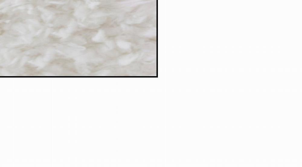 [18+] Năm Giác Quan 18.2 trang 71