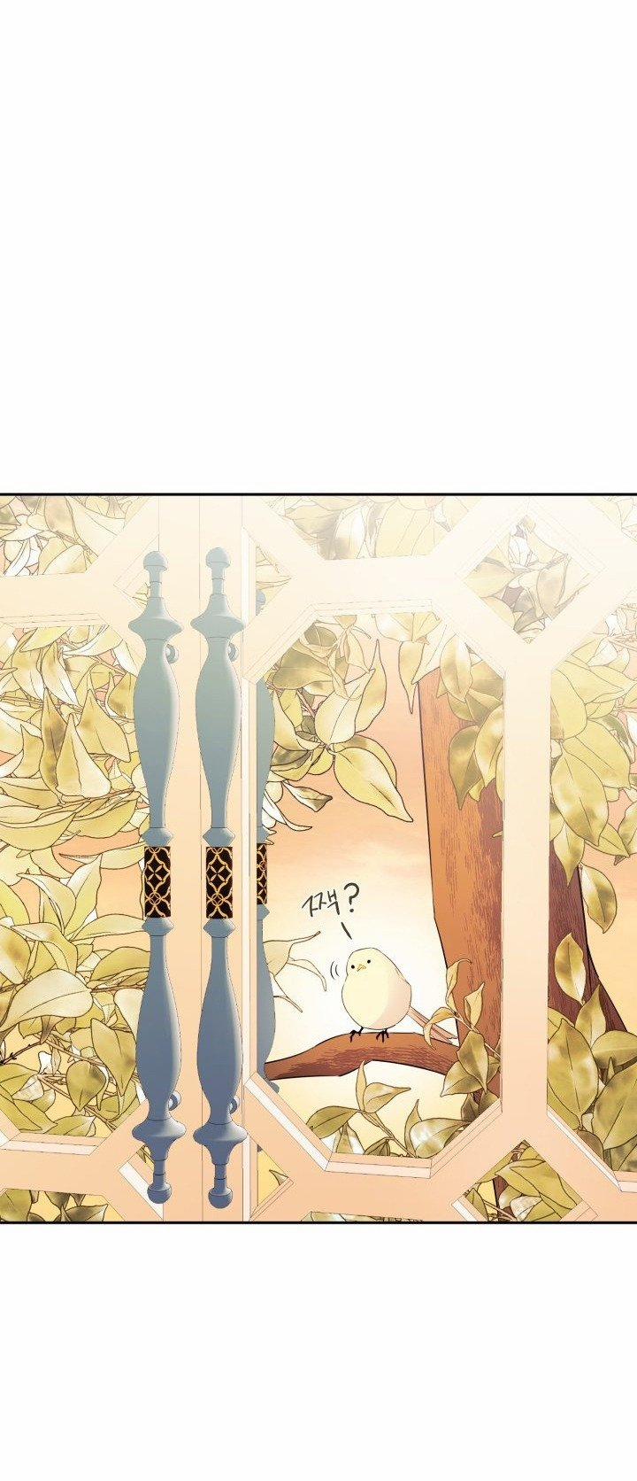 [18+] Nếu Cứu Rỗi Một Cầm Thú Hư Hỏng 5.1 trang 10