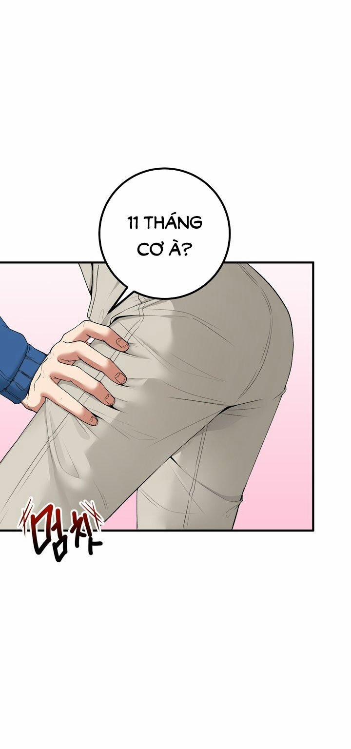 [18+] Người Vợ Gợi Cảm 61.1 trang 8