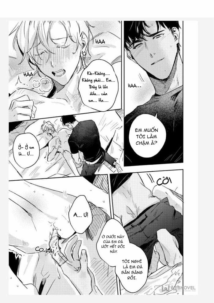 (18+) Người Yêu Tôi Đang Thời Kỳ Nổi Loạn 10 trang 4