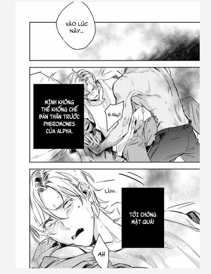 (18+) Người Yêu Tôi Đang Thời Kỳ Nổi Loạn 5 trang 13