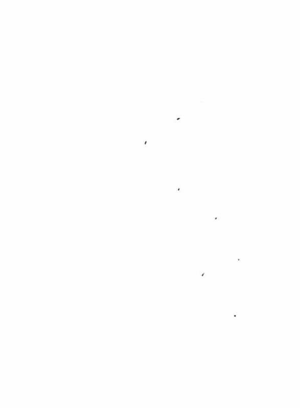 [18+] Nước Mắt Trên Đóa Hoa Tàn 18 trang 22