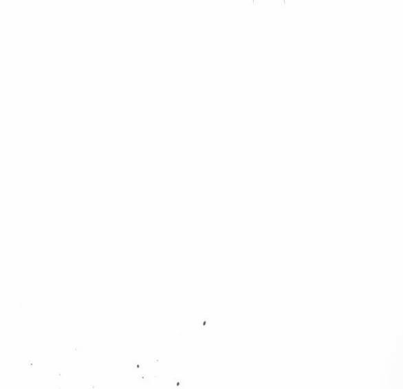 [18+] Phòng Ngủ Bí Mật Của Công Chúa Bị Bỏ Rơi 41.2 trang 23