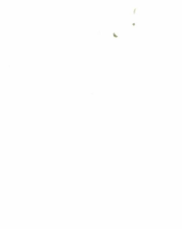 [18+] Phòng Ngủ Bí Mật Của Công Chúa Bị Bỏ Rơi 54.1 trang 3