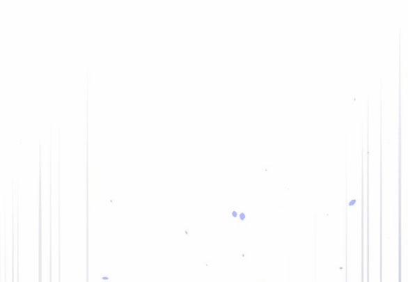 [18+] Phòng Ngủ Bí Mật Của Công Chúa Bị Bỏ Rơi 58.2 trang 36