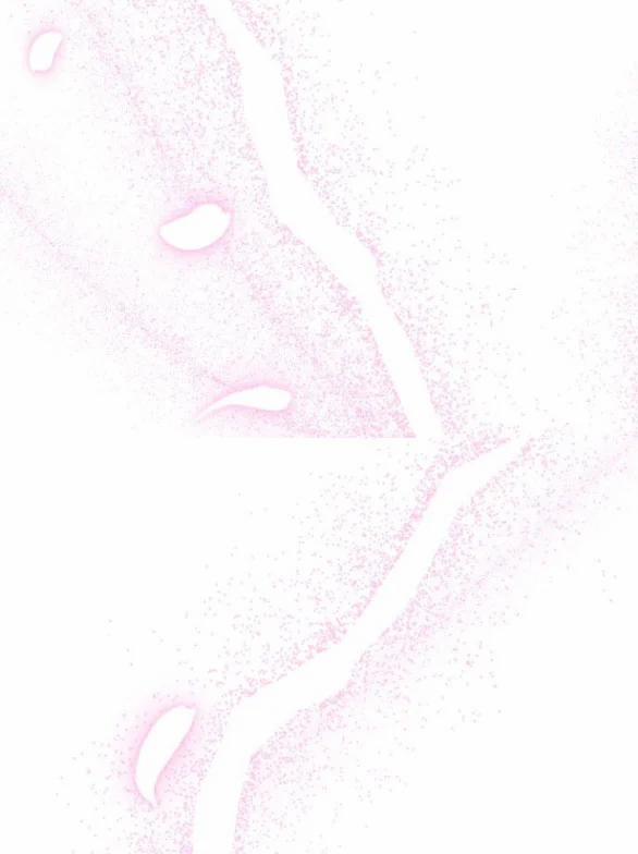 [18+] Phòng Ngủ Bí Mật Của Công Chúa Bị Bỏ Rơi 64.2 trang 49