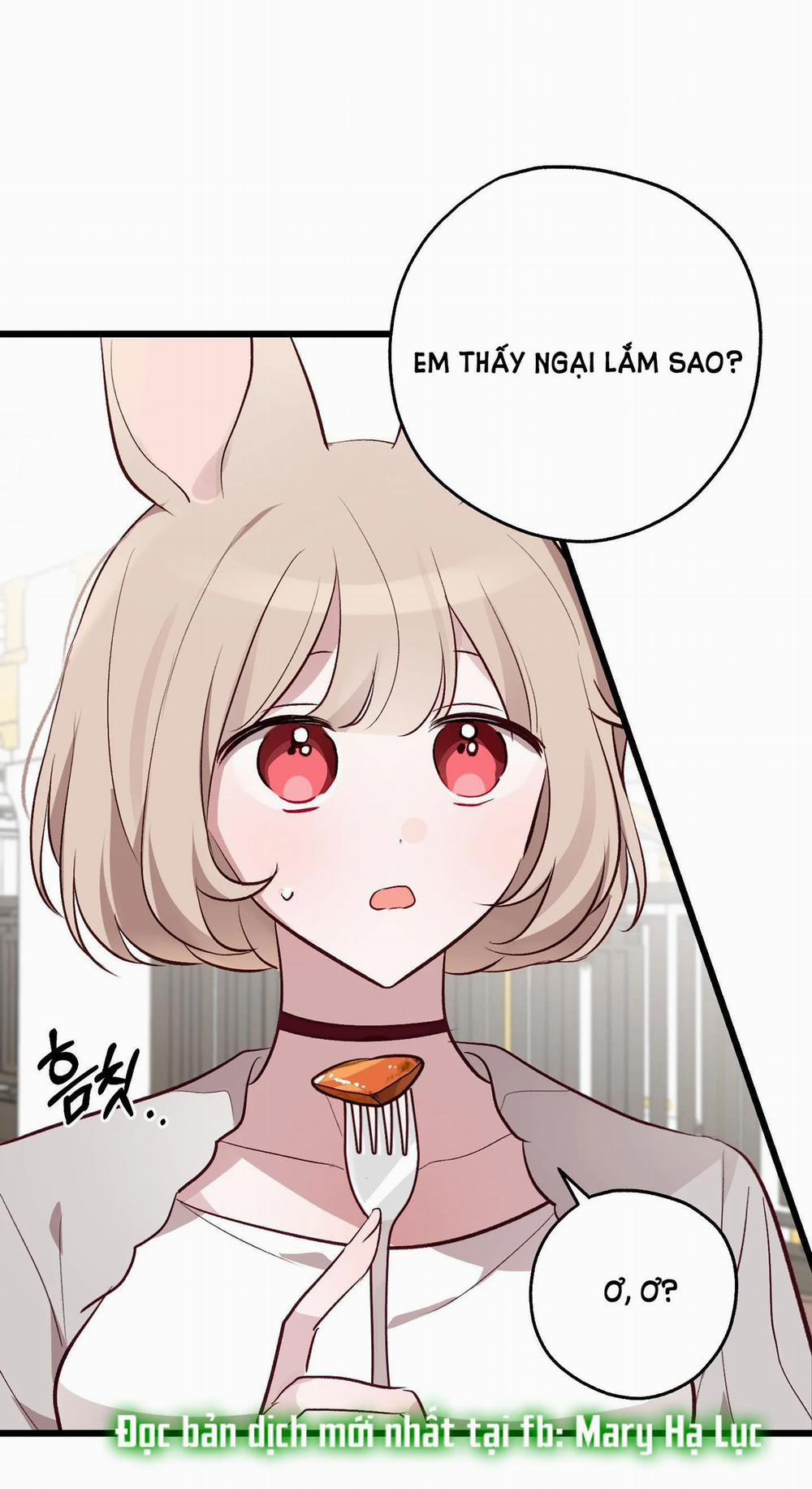 [18+] Rắn Và Thỏ Có Thể Kết Hôn Không? 1.2 trang 1