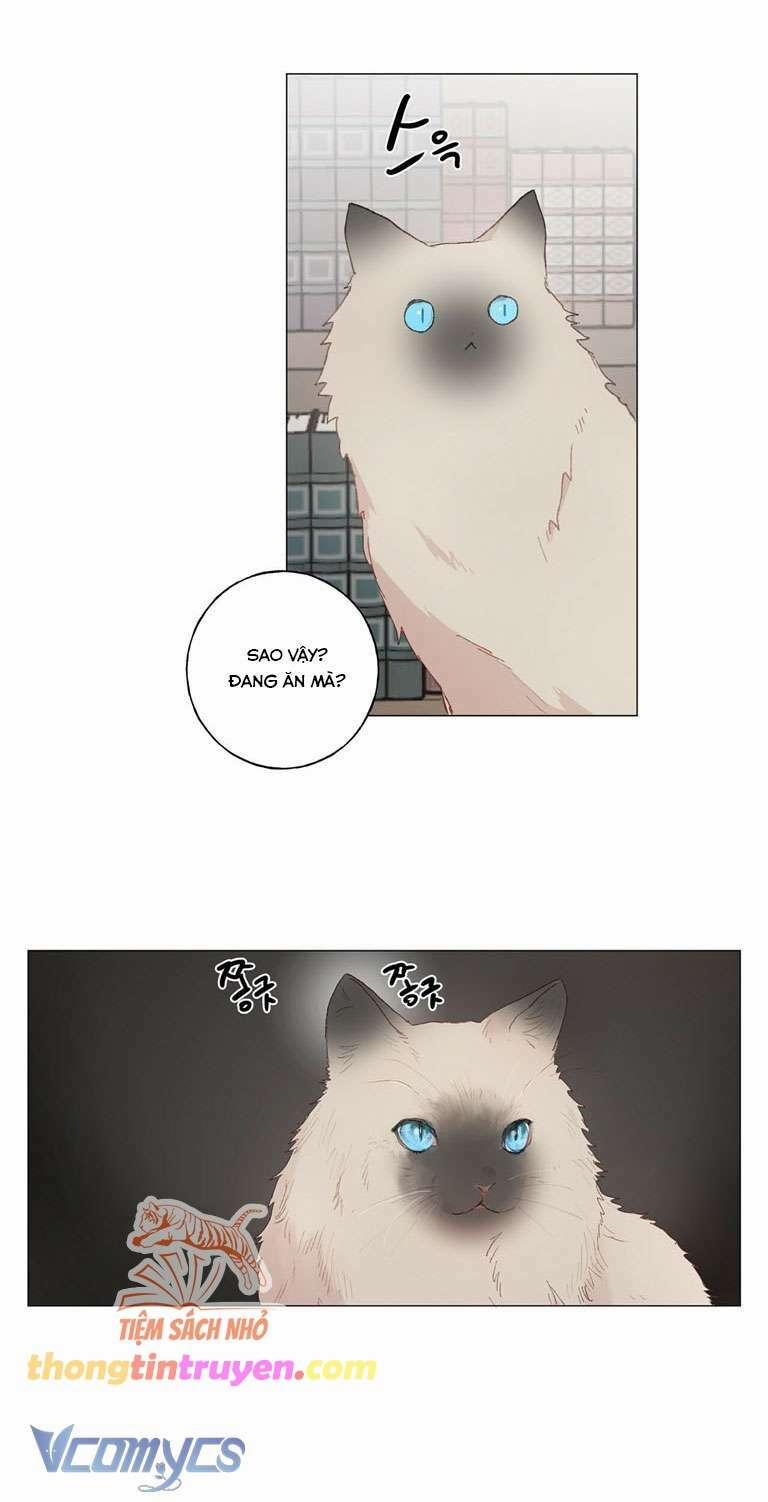 [18+] Sư Phụ Chọn Ứng Cử Viên Làm Chồng Cho Tôi 29 trang 3