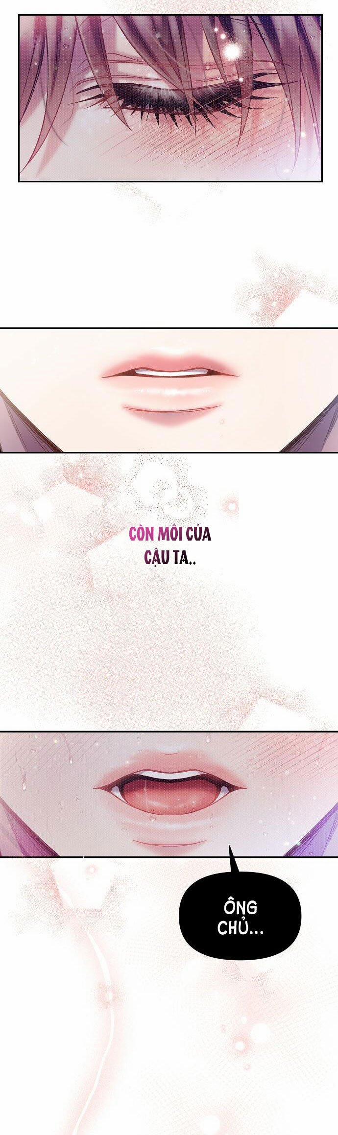 [18+] Sugar Rain 14.2 trang 4