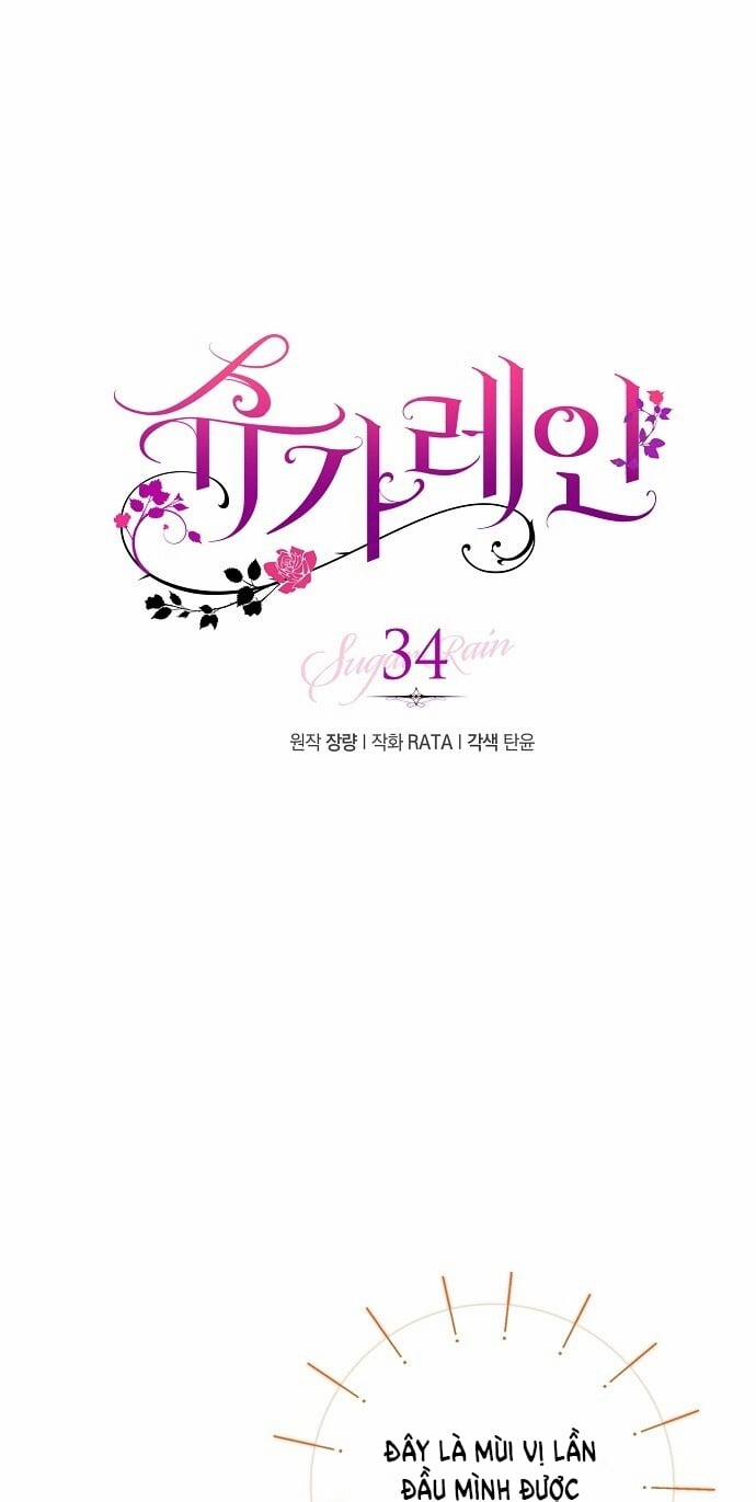 [18+] Sugar Rain 34.1 trang 0