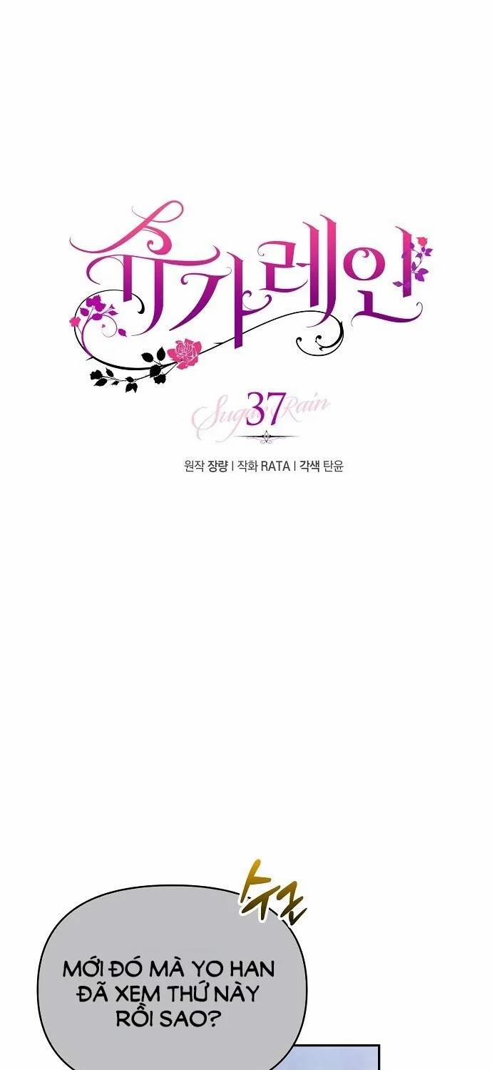 [18+] Sugar Rain 37.1 trang 0
