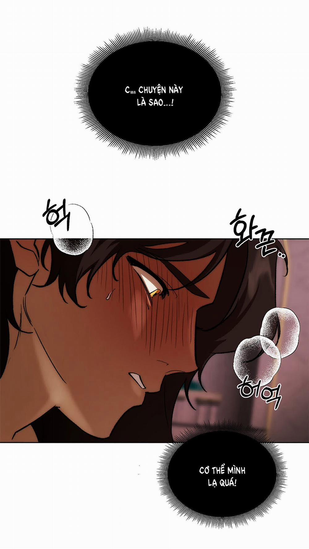 [18+] Ta Sẽ Khiến Cậu Được Vui Vẻ 2.1 trang 2